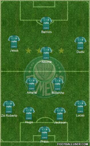 SE Palmeiras Formation 2015