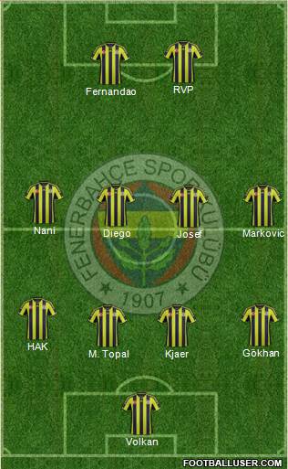 Fenerbahçe SK Formation 2015