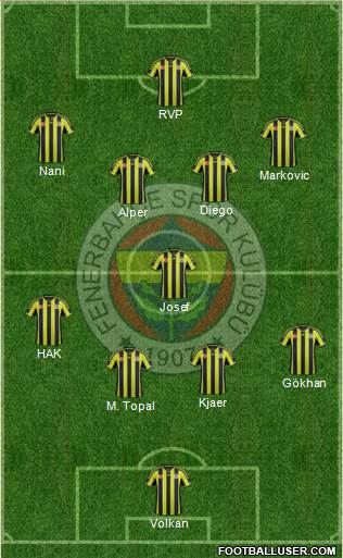 Fenerbahçe SK Formation 2015