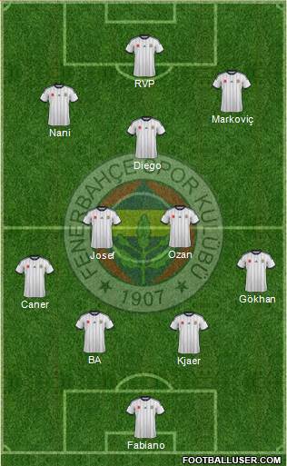 Fenerbahçe SK Formation 2015