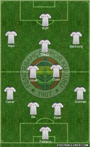 Fenerbahçe SK Formation 2015