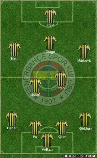 Fenerbahçe SK Formation 2015