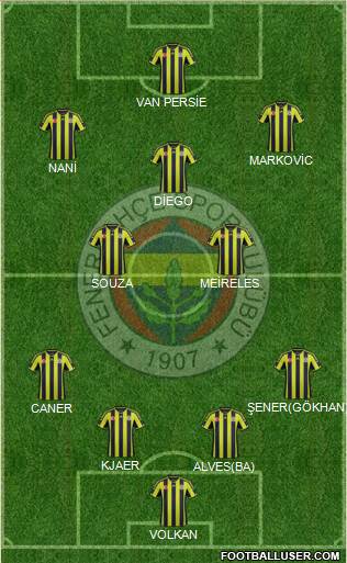 Fenerbahçe SK Formation 2015