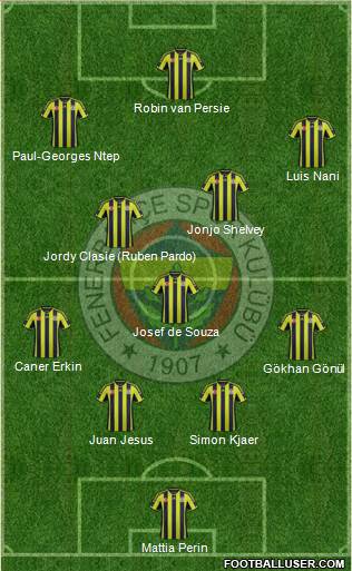 Fenerbahçe SK Formation 2015