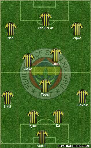 Fenerbahçe SK Formation 2015