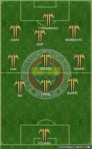 Fenerbahçe SK Formation 2015