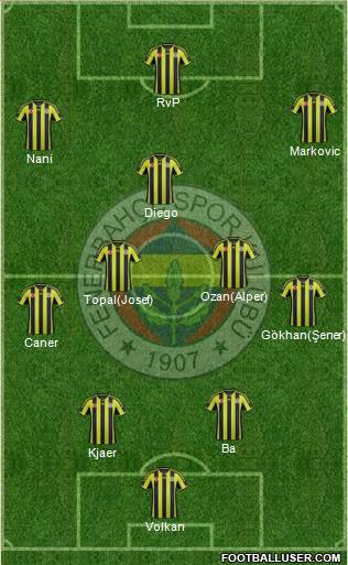 Fenerbahçe SK Formation 2015