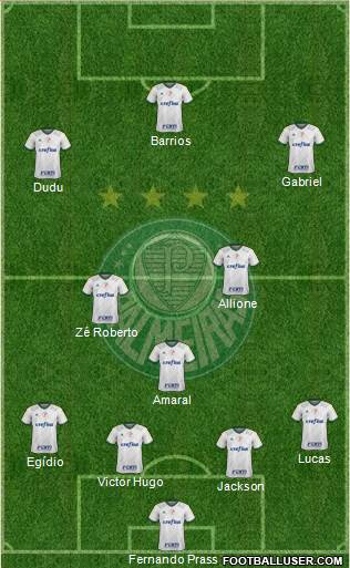 SE Palmeiras Formation 2015