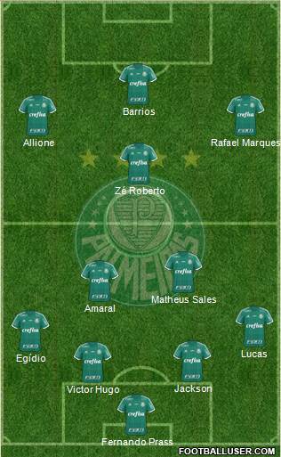 SE Palmeiras Formation 2015