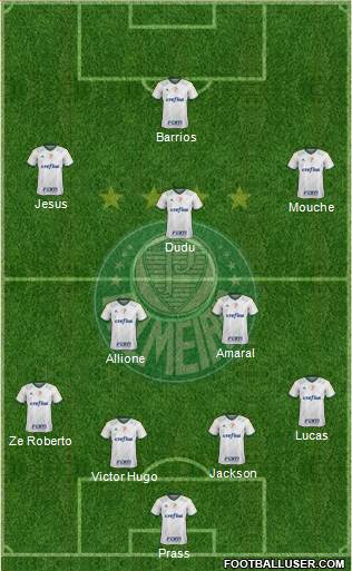 SE Palmeiras Formation 2015