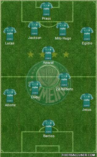 SE Palmeiras Formation 2015