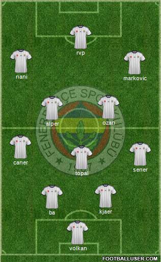 Fenerbahçe SK Formation 2015