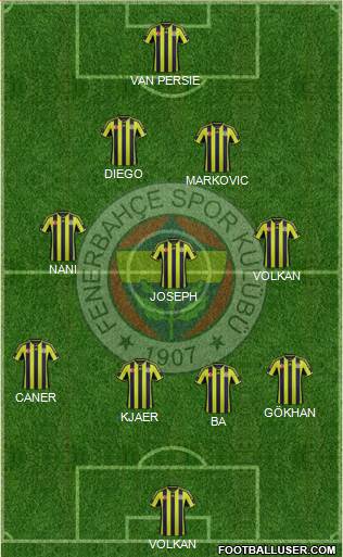 Fenerbahçe SK Formation 2015