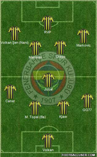 Fenerbahçe SK Formation 2015