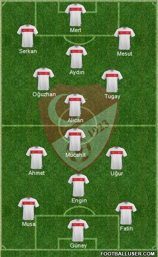 Turkey Formation 2015
