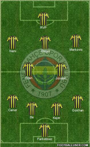 Fenerbahçe SK Formation 2015