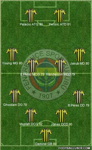 Fenerbahçe SK Formation 2015