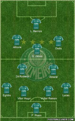 SE Palmeiras Formation 2015