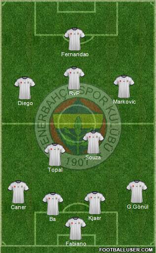Fenerbahçe SK Formation 2015