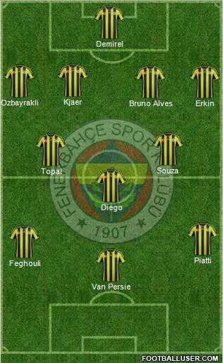 Fenerbahçe SK Formation 2015