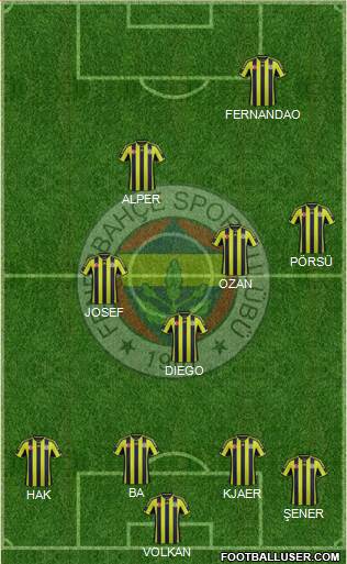 Fenerbahçe SK Formation 2015