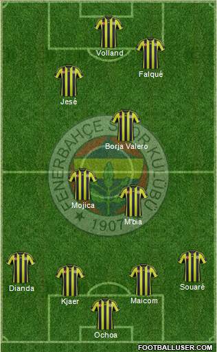 Fenerbahçe SK Formation 2015