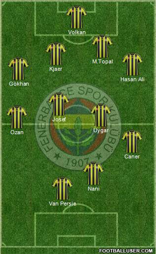Fenerbahçe SK Formation 2015
