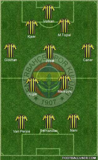 Fenerbahçe SK Formation 2015