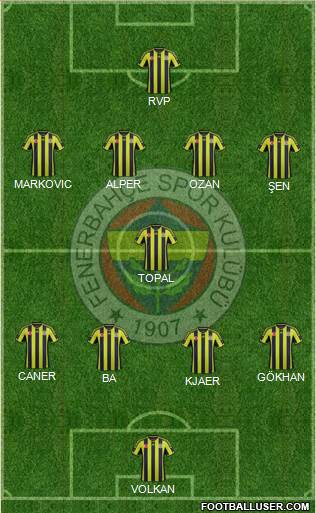 Fenerbahçe SK Formation 2015