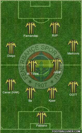 Fenerbahçe SK Formation 2015