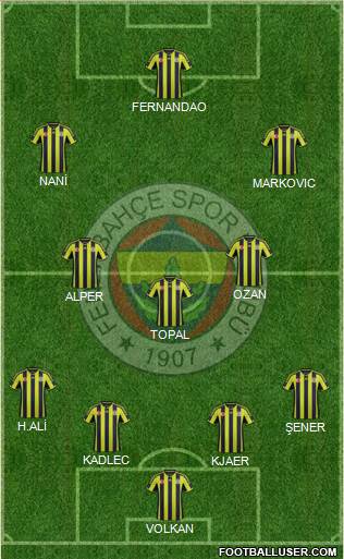 Fenerbahçe SK Formation 2015