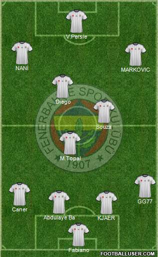 Fenerbahçe SK Formation 2015