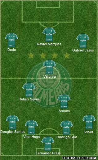 SE Palmeiras Formation 2015