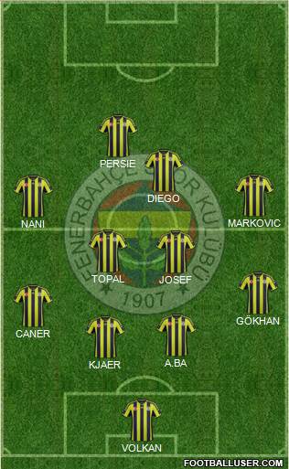 Fenerbahçe SK Formation 2015