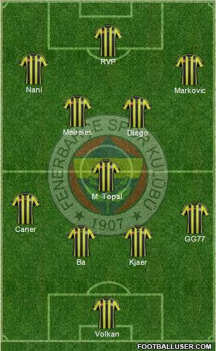 Fenerbahçe SK Formation 2015