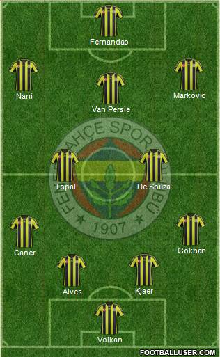 Fenerbahçe SK Formation 2015