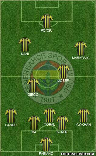 Fenerbahçe SK Formation 2015