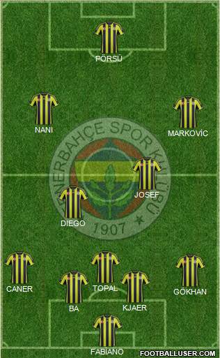Fenerbahçe SK Formation 2015