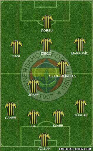 Fenerbahçe SK Formation 2015