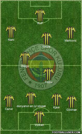Fenerbahçe SK Formation 2015
