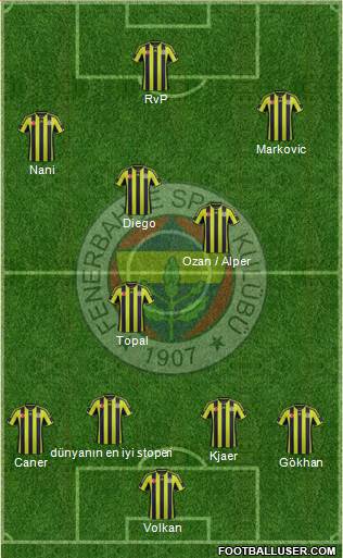 Fenerbahçe SK Formation 2015