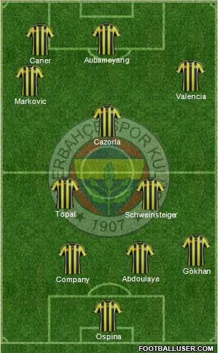 Fenerbahçe SK Formation 2015