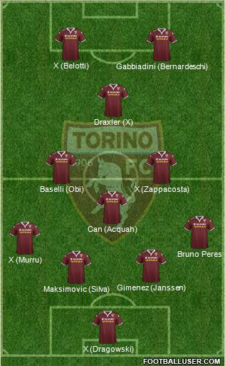 Torino Formation 2015