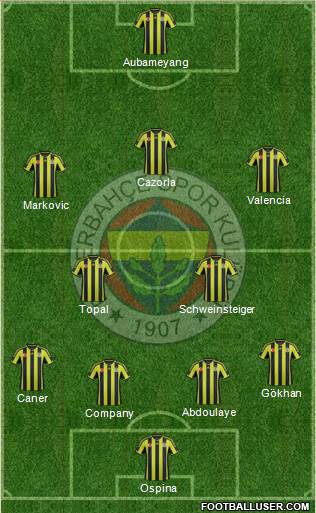 Fenerbahçe SK Formation 2015