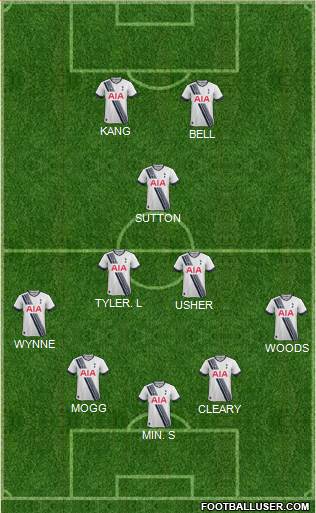 Tottenham Hotspur Formation 2015
