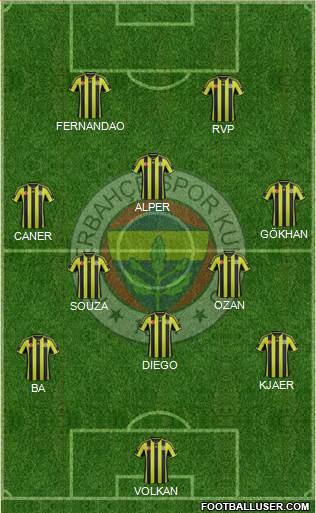 Fenerbahçe SK Formation 2015