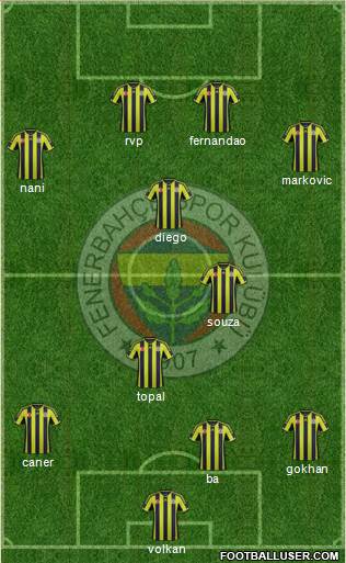 Fenerbahçe SK Formation 2015