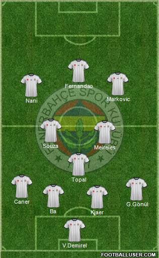 Fenerbahçe SK Formation 2015