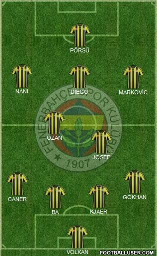 Fenerbahçe SK Formation 2015