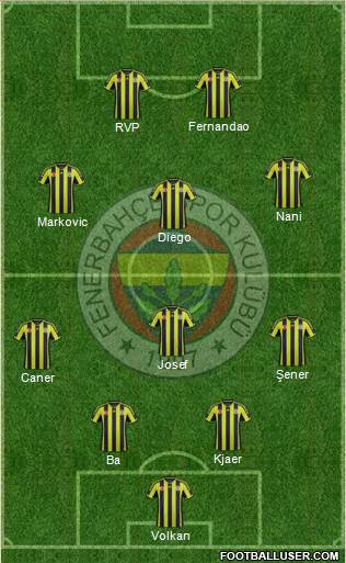 Fenerbahçe SK Formation 2015